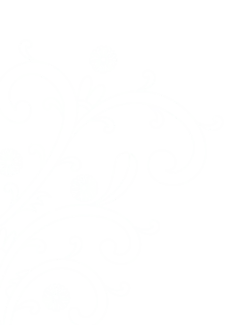 shape